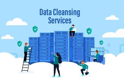 Data Cleansing Services: A Must- Have For Your Organization