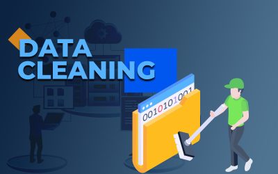 What Is Data Profiling and Data Cleansing?