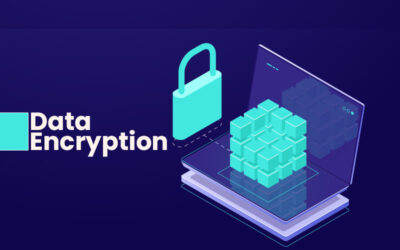 The Significance of Data Encryption for Businesses